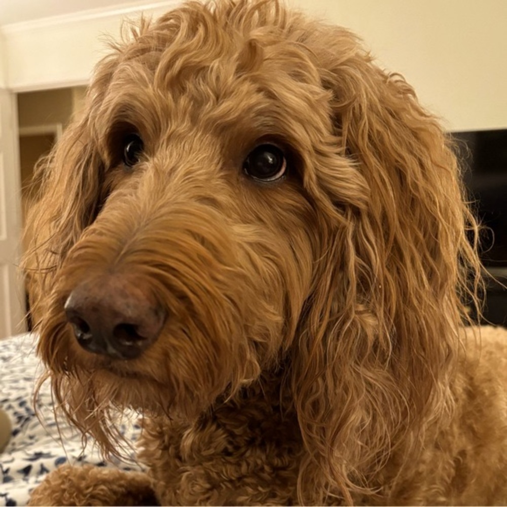 Thank you for looking at my closet.